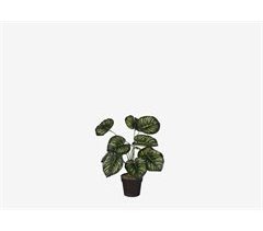 Planta artificial CALATHEA marca MYCA