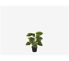 Planta artificial ALOCASIA marca MYCA