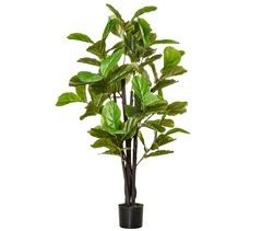 Planta Artificial Ficus HOMCOM 830-437