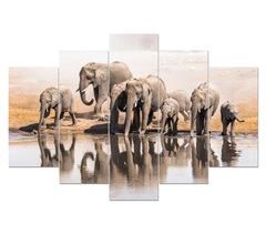 Tela 5 peças ELEPHANTS HERD marca CONFORAMA