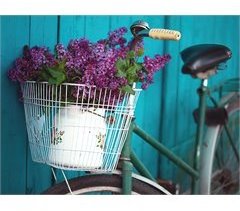CANVAS BICYCLE FLOWERS