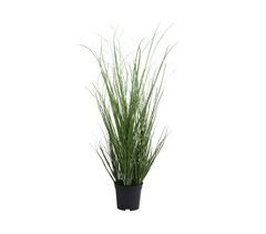 Planta artificial HIERBA 1M marca EVERLANDS FLOWERS AND PLANTS