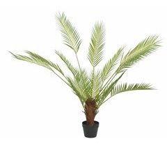Planta artifical PALMERA marca EVERLANDS FLOWERS AND PLANTS