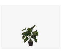 Planta artificial FILODENDRO da marca MYCA