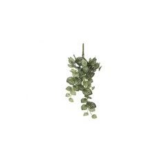 Planta artificial suspensa PEPEROMIA marca MYCA