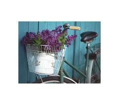 CANVAS BICYCLE FLOWERS