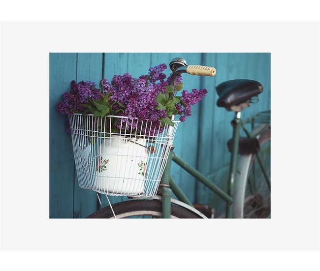 CANVAS BICYCLE FLOWERS Multicor
