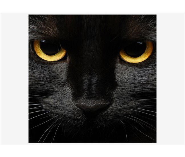Tela BLACK CAT marca CONFORAMA Multicor
