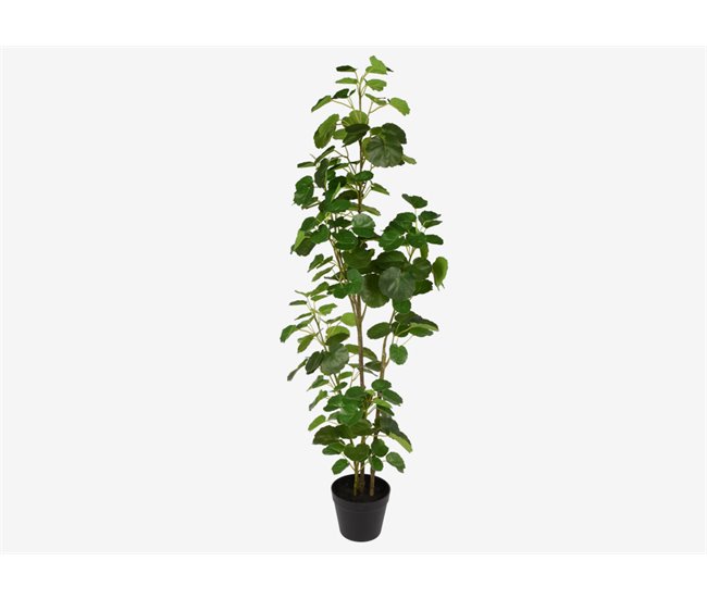 Planta artificial ARALIACEAE 112cm. Verde