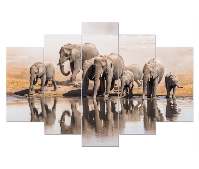Tela 5 peças ELEPHANTS HERD marca CONFORAMA Multicor