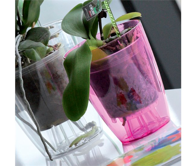 3x Maceter de orquídea plástica Transparente