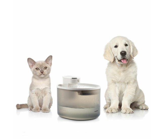 Fonte para Gatos Recarregável com Sensor Branco