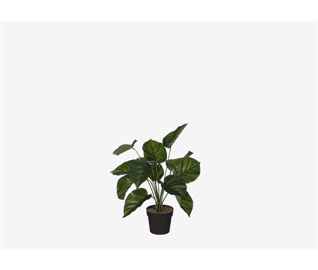 Planta artificial FILODENDRO da marca MYCA Verde