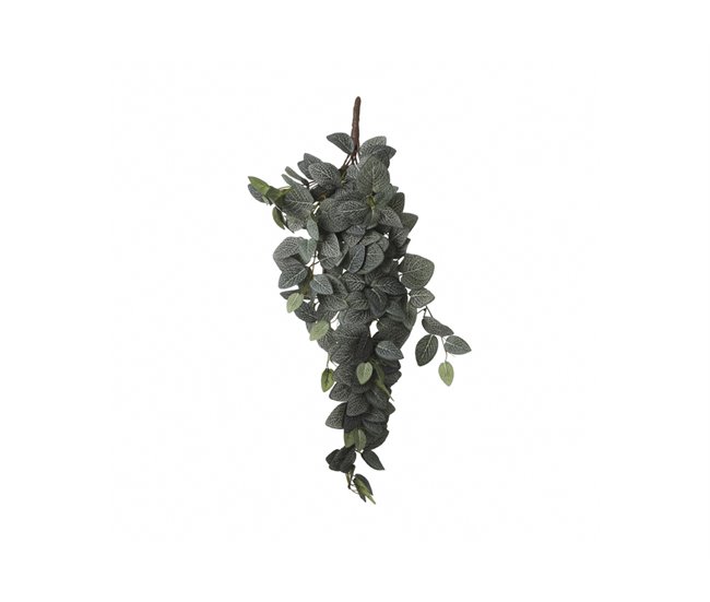 Planta artificial suspensa FITTONIA marca MYCA Verde