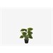 Planta artificial ALOCASIA marca MYCA Verde
