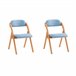 Conjunto de 2 cadeiras dobráveis FST92-BLx2 SoBuy Azul