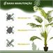 Planta Artificial PEVA, PE, PP, cimento Verde