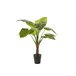 Planta artificial TARO marca MYCA Verde