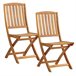 Conjunto de 2 cadeiras de jardim dobráveis em madeira Madeira