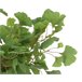 Planta artificial GINKO marca EVERLANDS FLOWERS AND PLANTS Verde