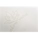 Flocos de Travesseiro Viscoelástico Capa de Aloe Vera 135x40 Branco/cinza