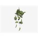 Planta artificial suspensa FILODENDRO marca MYCA Verde