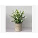 Planta artificial com flores CLINT Multicor