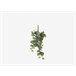 Planta artificial suspensa PEPEROMIA marca MYCA Verde