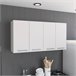 Kitchen Wall Cabinet, com suporte de pratos Branco