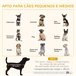 Cama para Animais de Estimação para Cães PawHut D04-230V80 Branco