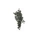 Planta artificial suspensa FITTONIA marca MYCA Verde